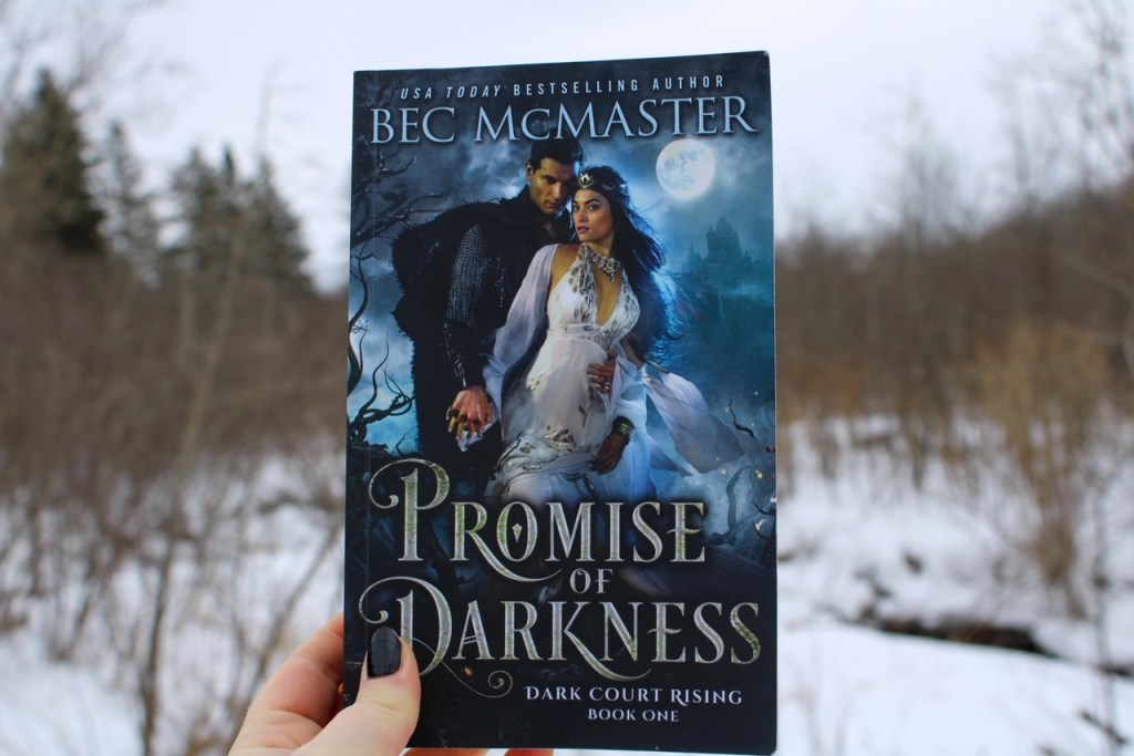 Book Review: Promise of Darkness by Bec&nbsp;McMaster