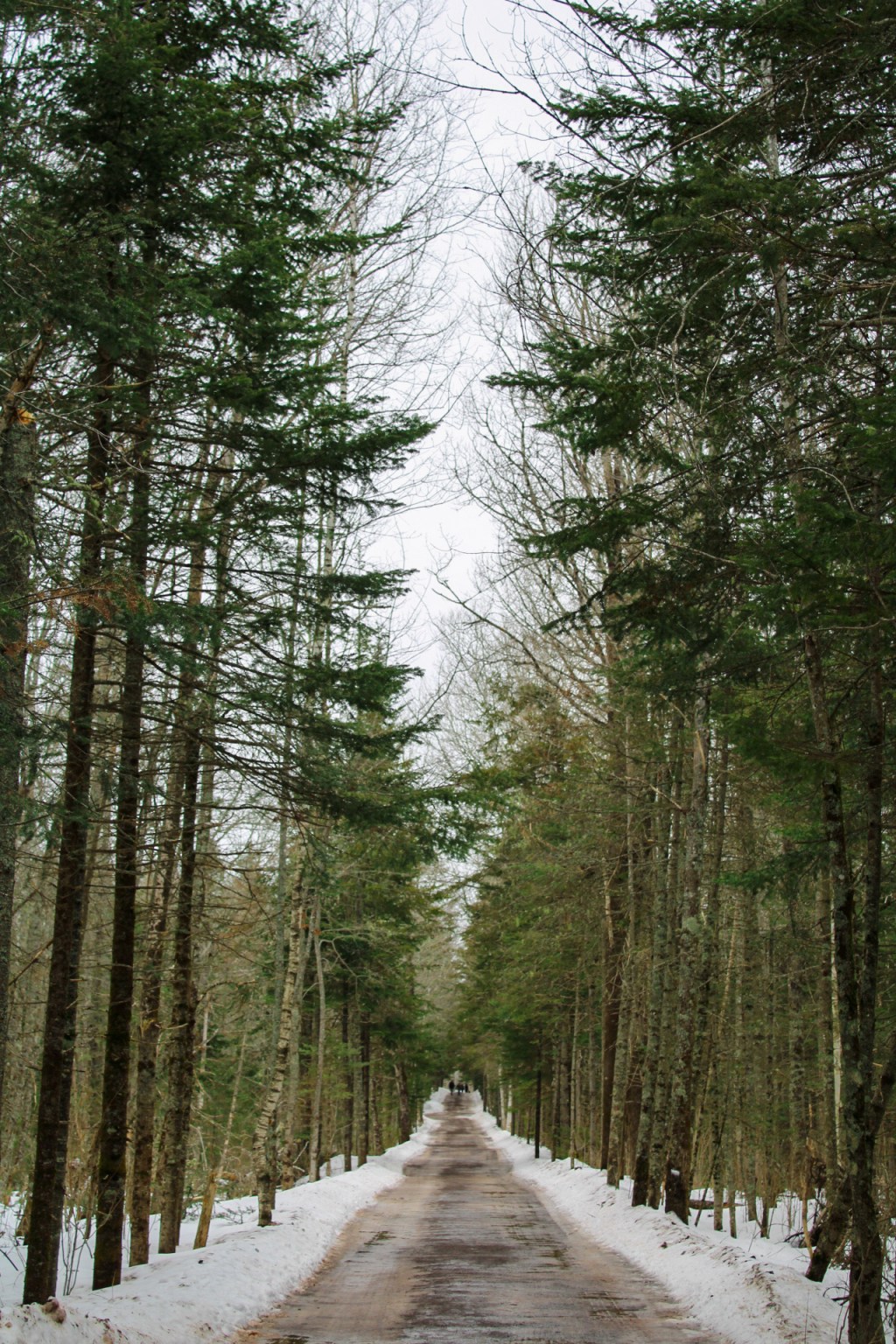 February Wrap-Up: Books Read, TBR lists, and What I’m Loving Right&nbsp;Now