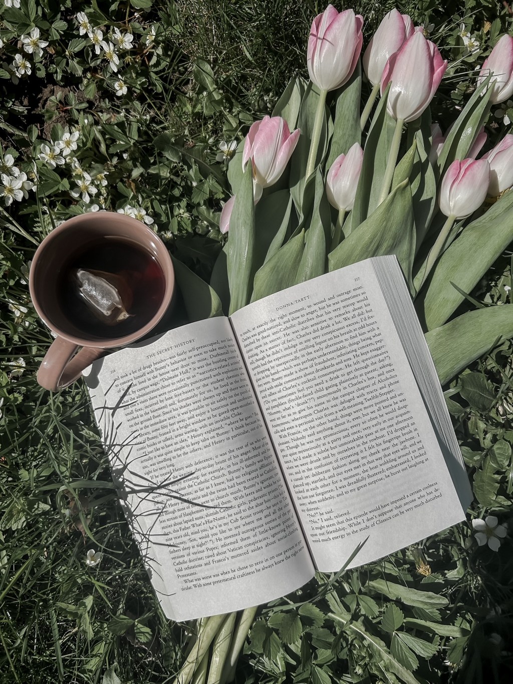 May Wrap-Up: Books Read, TBR lists, and What I’m Loving Right&nbsp;Now