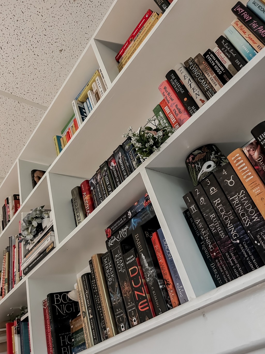 Monthly Reading Wrap-Up Bookshelves