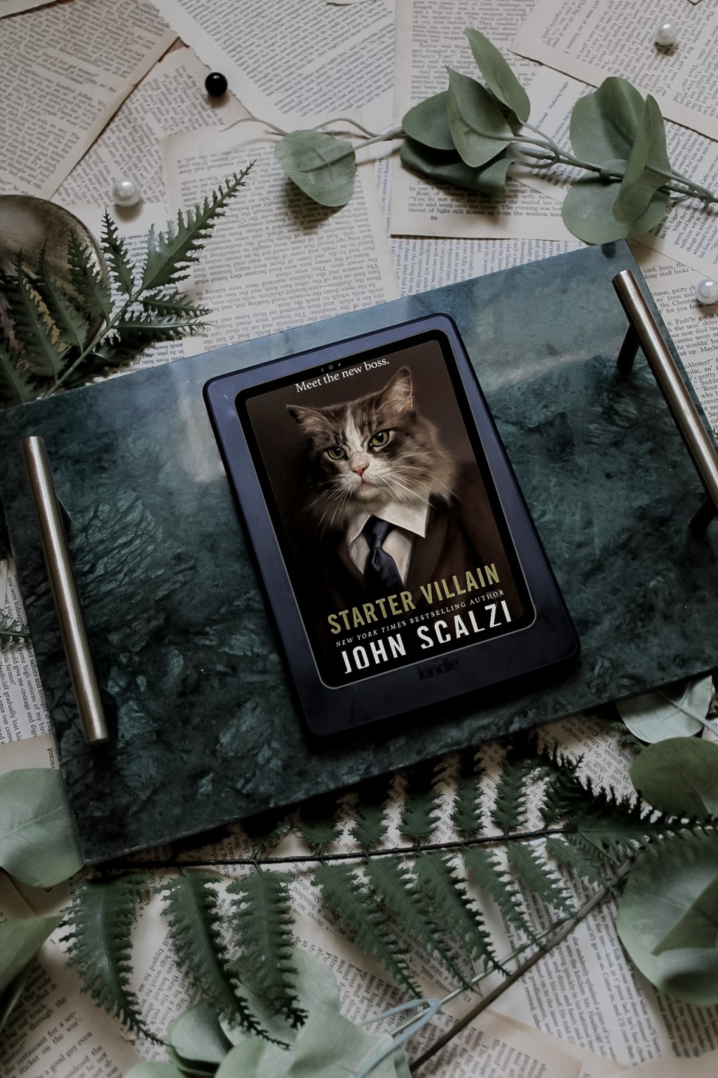 Book Review: Starter Villain by John Scalzi