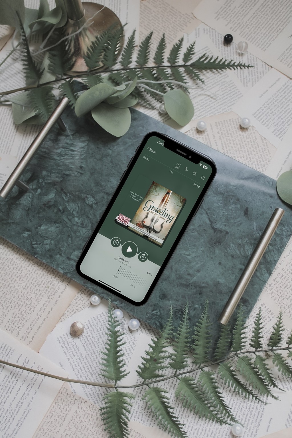 Book Review: Graceling by Kristin&nbsp;Cashore