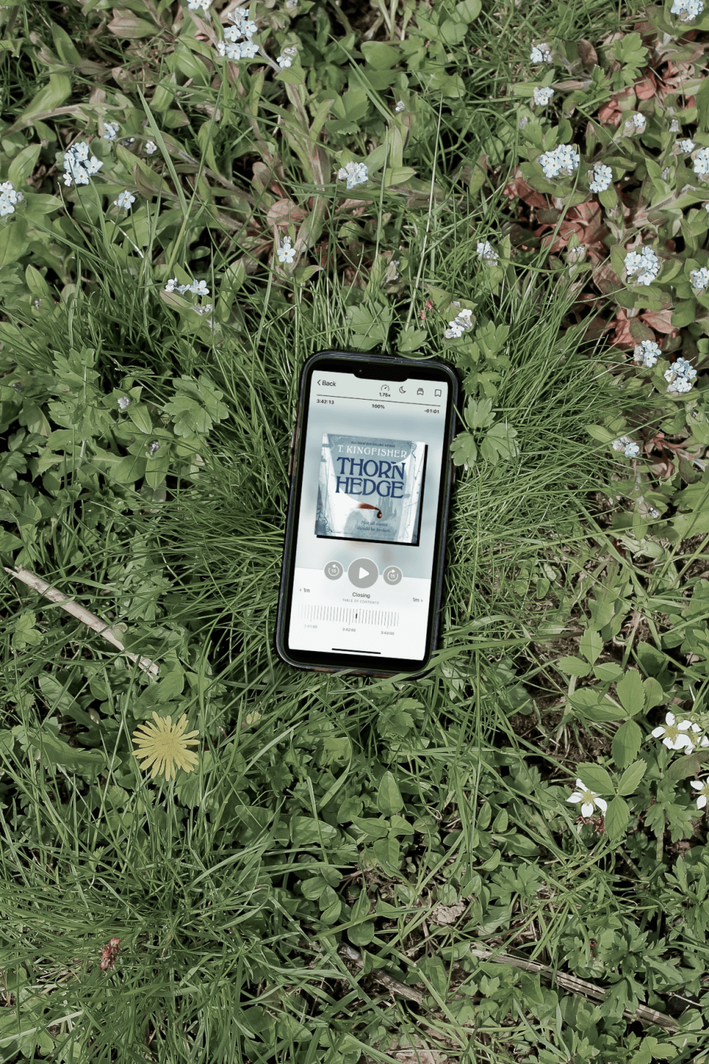 Book Review: Thornhedge by T.&nbsp;Kingfifisher