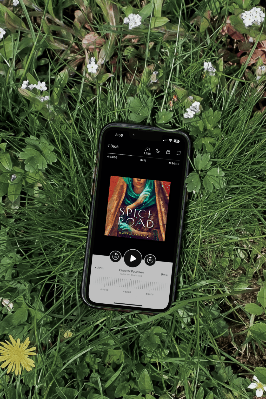 Book Review: Spice Road by Maiya&nbsp;Ibrahim