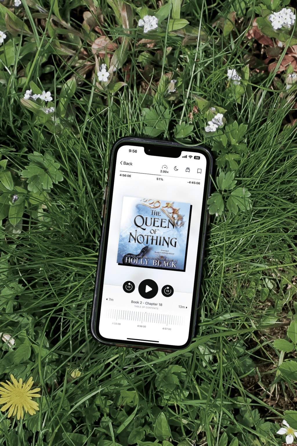Book Review: The Queen of Nothing by Holly&nbsp;Black