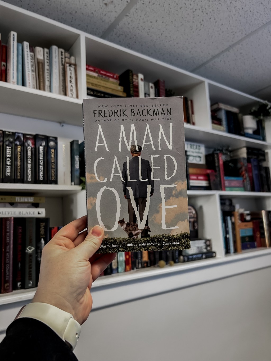 Book Review: A Man Called Ove by Fredrik Backman
