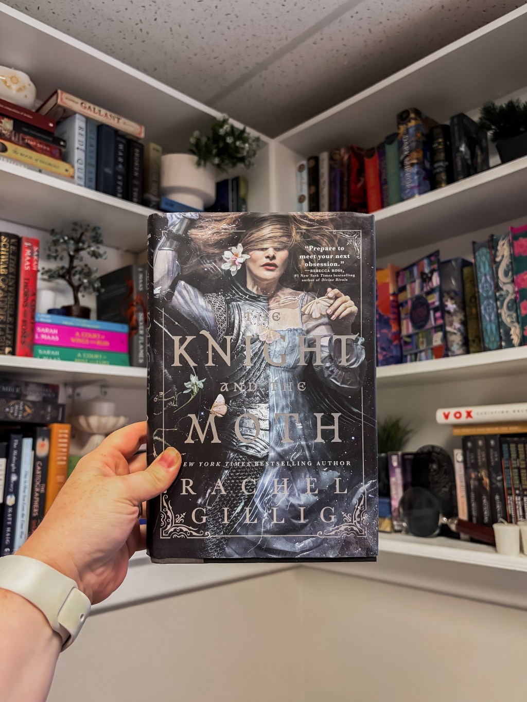 Book Review: The Knight and The Moth by Rachel&nbsp;Gillig