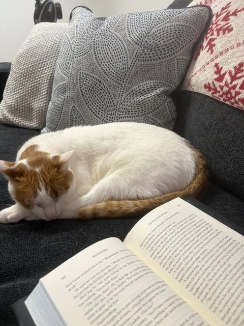 How To Make Time For Reading: Cat Snoozing By Book